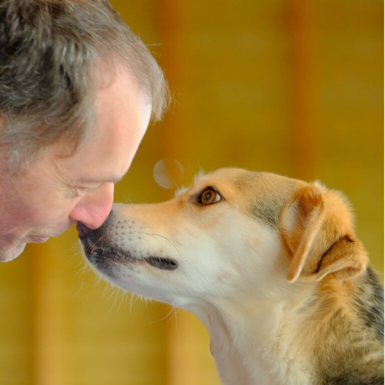 MaakWerkVanBuitenlandseHond_Emma