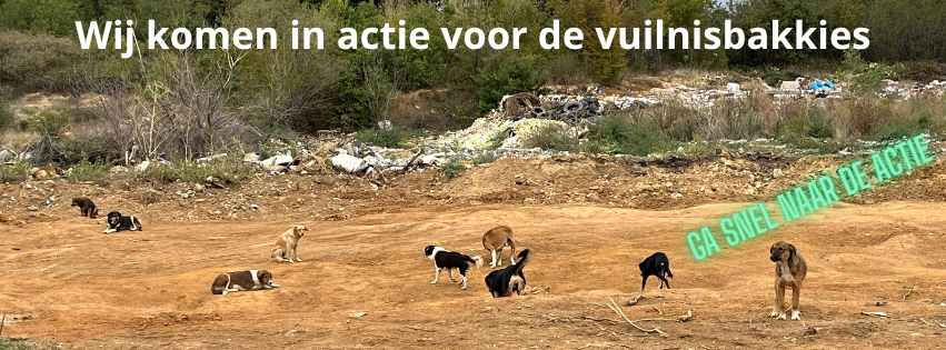 Wij komen in actie voor de vuilnisbakkies(1)